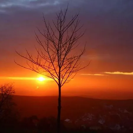 Apartamento In Bischoffingen