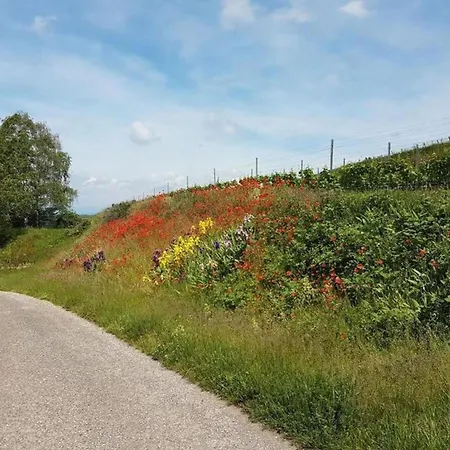 In * Bischoffingen